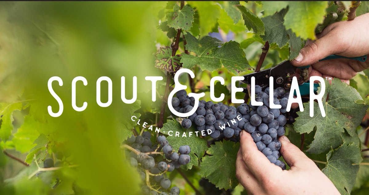 DFTS_WF's tweet image. Join Jamie Berry this Sunday from 2-4pm for a Scout and Cellar wine tasting, massages, and chances to win a raffle for a gift certificate for a 1 hour massage from Margie Reis or a donation from Mik's! There is a $10 cover that goes to support BBBS, SBDC, and Challenge Aspen.