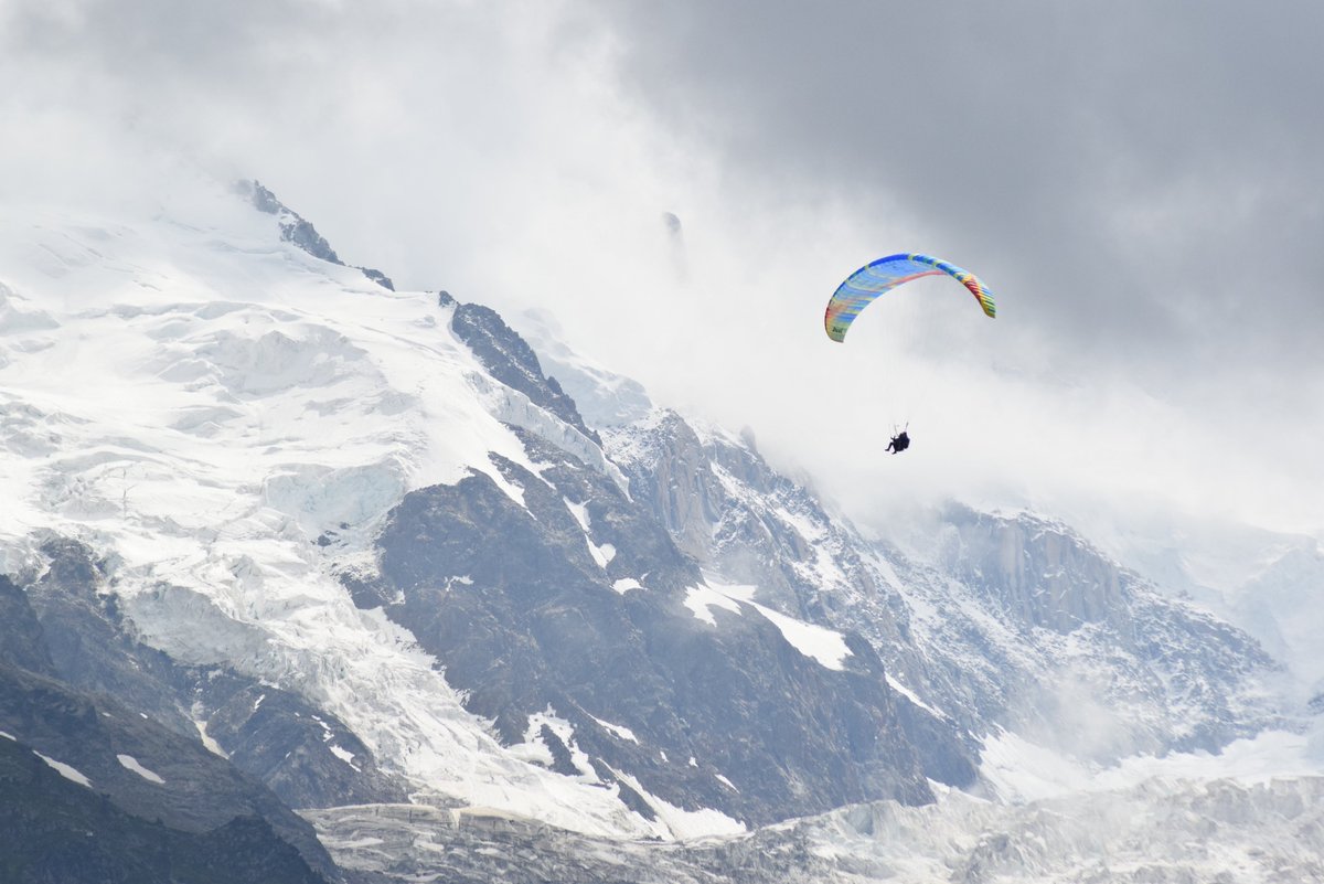 Inghams Summer tweet media