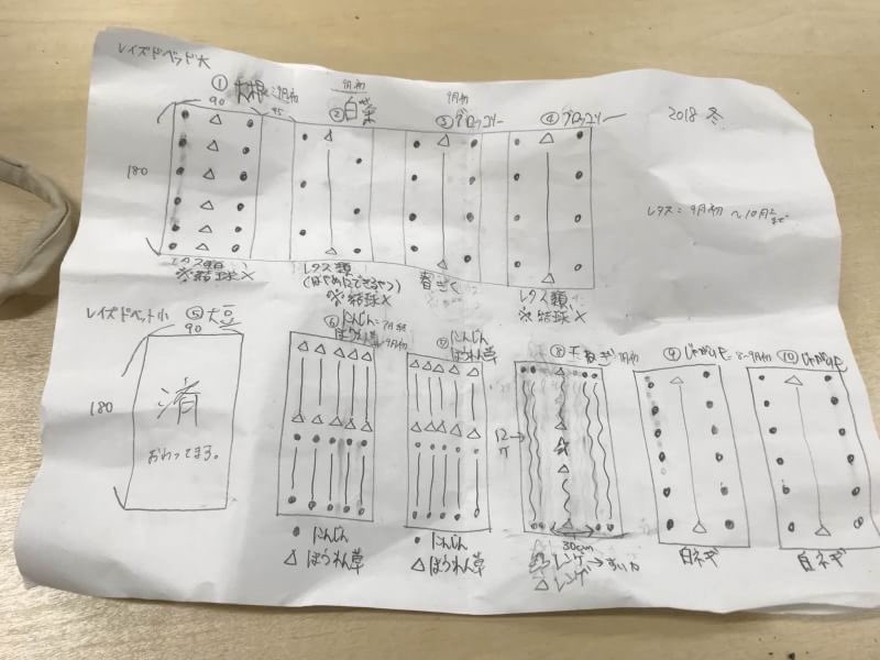 お久しぶりです。今日、今後屋上に植える秋冬野菜を考えました。夏野菜の時は少量多品目育てすぎてあまりカレーを出せていない(8/26、8/27に武蔵野大カレー出します)ので、今回はたっぷり出せるように多量少品目でいくことにしました。