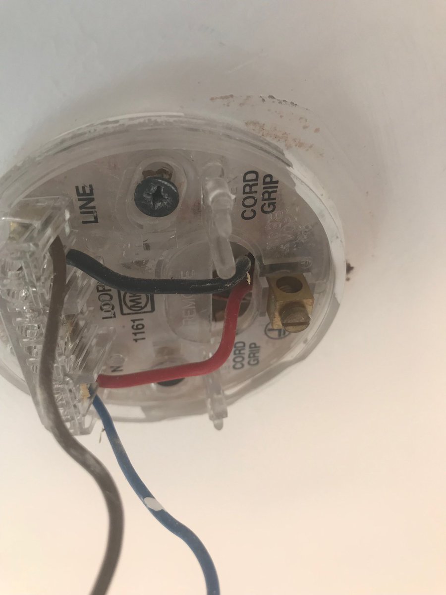 electrical_jj's tweet photo. I love that cord grip is actually printed on but ignored. And I guess it was a 50/50 chance with the polarity. Gotta love decorators:) https://t.co/jR48XqSw1m
