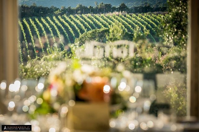 I colori saturi a perdita d’occhio, tra il giallo del grano e il verde dei filari di viti. La mia Toscana. Voi riuscite a sentirlo, il profumo dell’estate? .
.
Planning &amp; Design: @giuliaalessandri 
PhotoCredit: @simoneaddisphotographer
#giuliaalessandriw… ift.tt/2o6X1Ir
