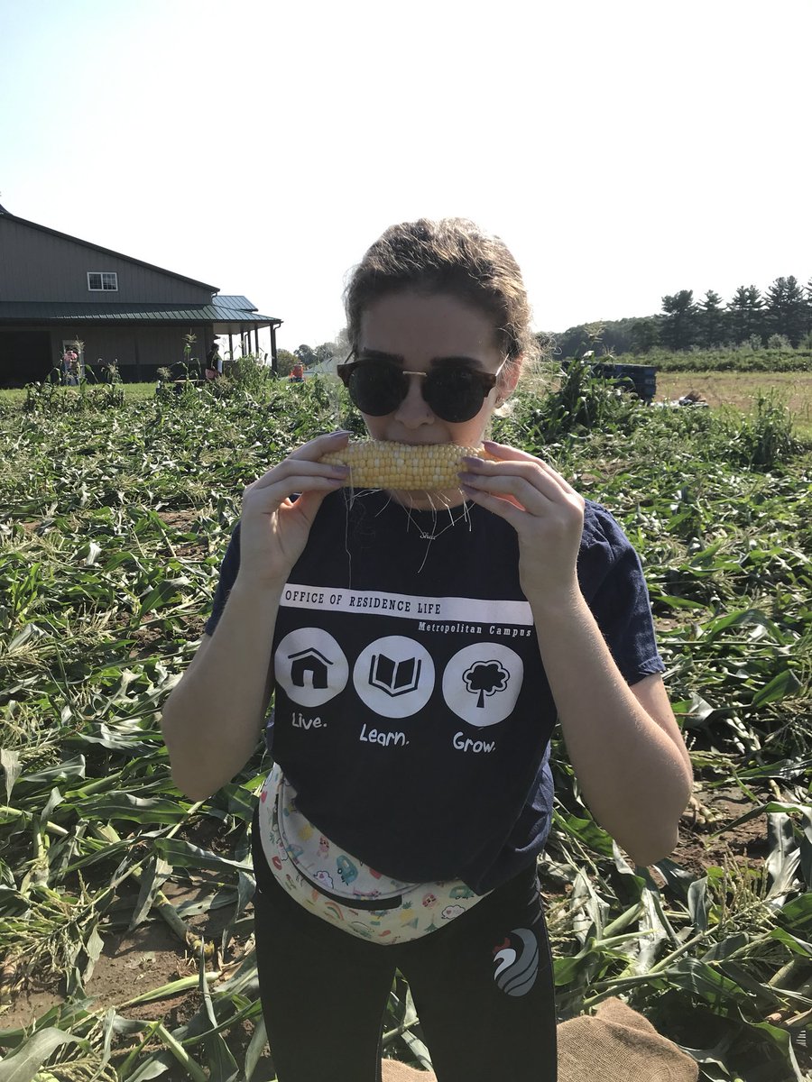 mttownley's tweet photo. Today @FDUKnightsSAAC volunteered @AGARNJ. We picked 19,000 pounds of 🌽 which is equivalent to 75,000 servings. All while grinning ear to ear #uKnighted https://t.co/acoOlaDqIM