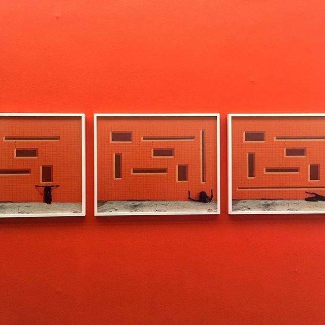 jellycat72's tweet image. #robinrhode #colours #art #edinburgh #modernone ift.tt/2LpsjDB