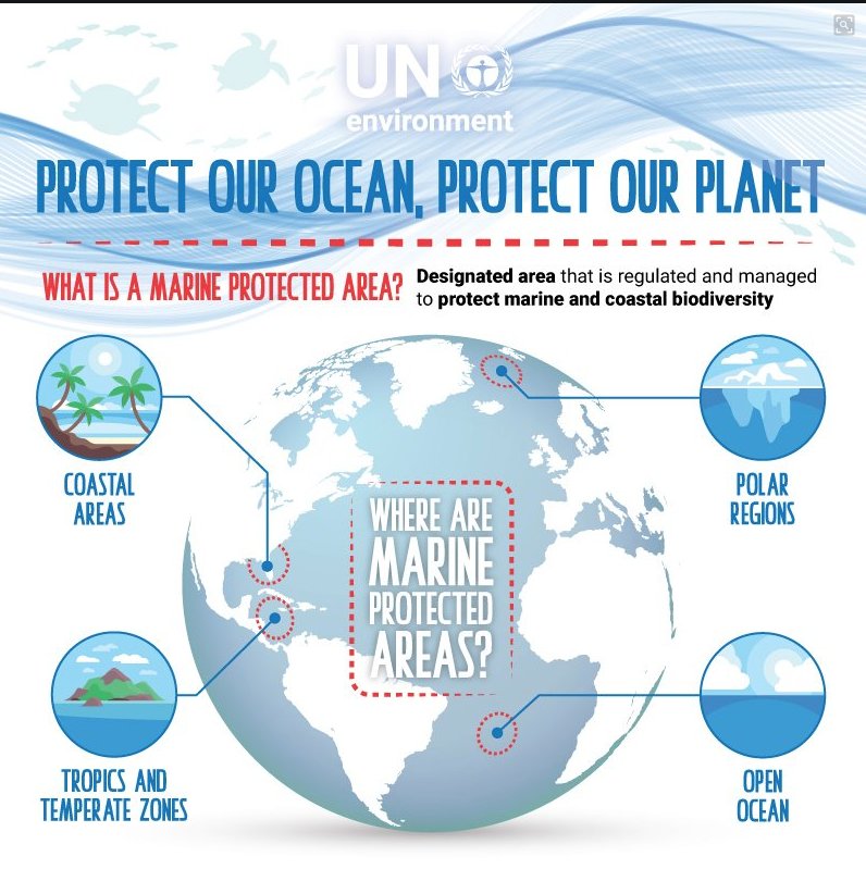 #Marine protected areas allow the ocean's inhabitants  to survive and thrive, find out more—act.gp/2P3y2Bw