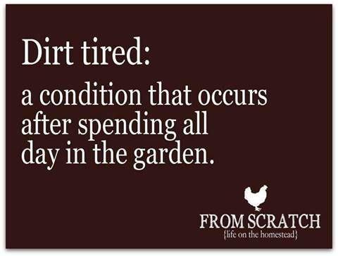 NextDayDumpster's tweet image. And oh what a great feeling that can be! #gardening #lovedirt #calm