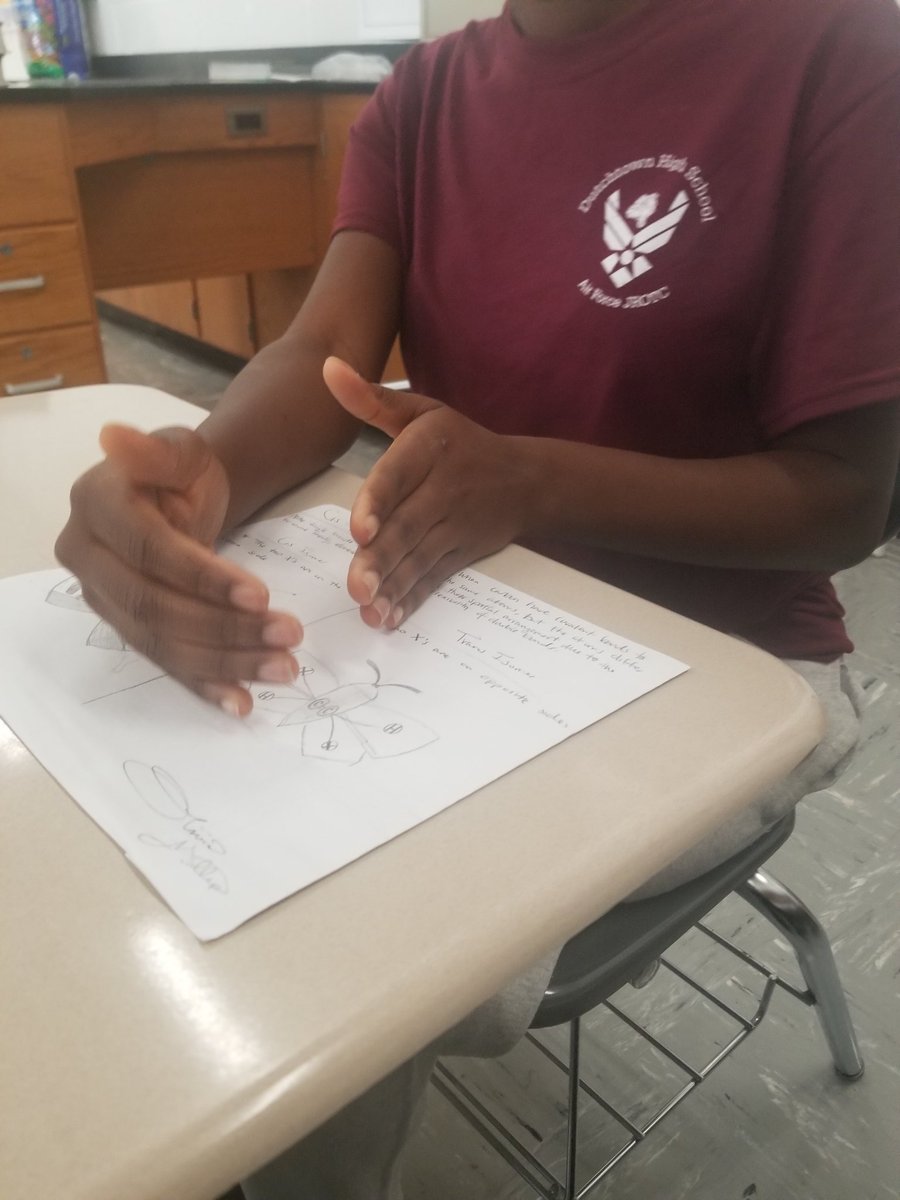 RWilliams_EDS's tweet image. Mastery takes many shapes! Each student was able to design their own mastery checkpoint. They defended their understanding of isomers in my AP Bio class. #OneTarget #ManyPaths