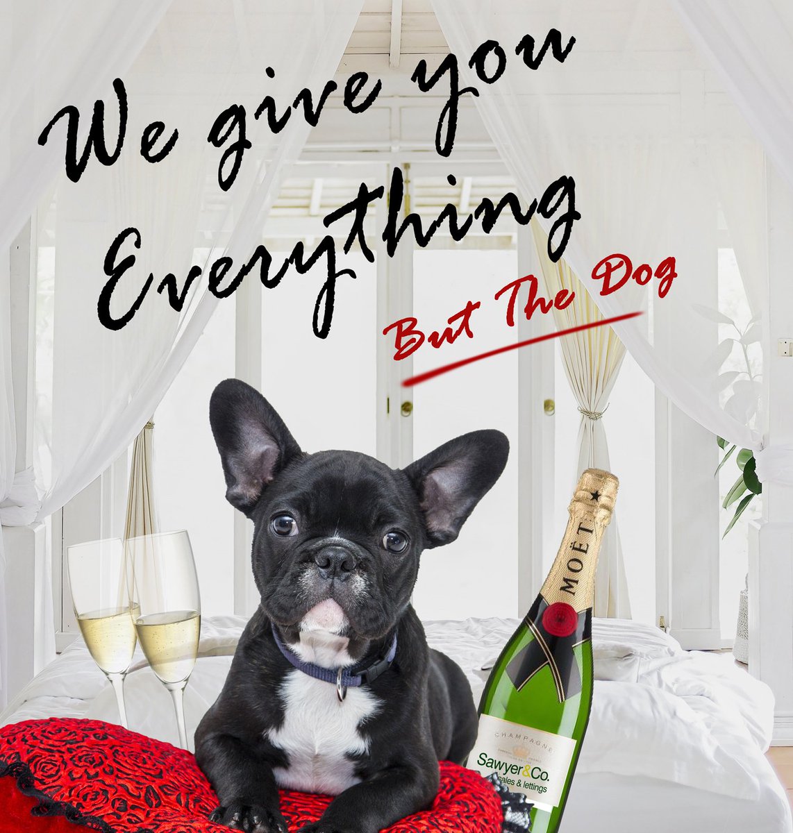 Thinking of buying? We give you the keys &amp; champagne to celebrate, but the dog is on you 😉 #Firsttimebuyer #housebuyer  #bestsestateagencyinsoutheast #champagne #brightonestateagent #yournextproperty #propertyinbrighton #allyouneedisahouseandadog #frenchie #frenchbulldog