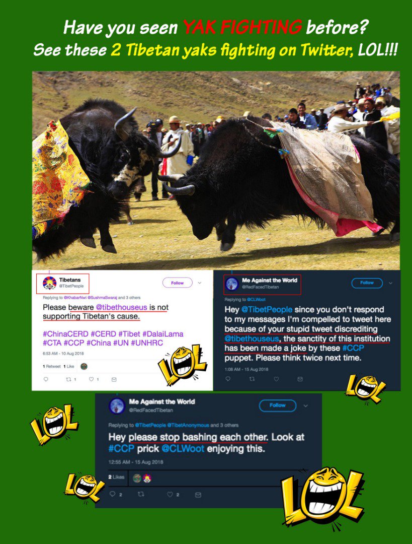 TibetenZone's tweet photo. #mustread #mustwatch #mustsee #Tibetan yaks fighting on #Twitter
#FreeTibet #Tibetans #TibetCause #RobertThurman #FrosoPloumidi #fakeaccounts #DhardonSharling #Dharamsala #Rangzen #Tibet #DalaiLama #HimachalPradesh https://t.co/M8W4JUjO5x
