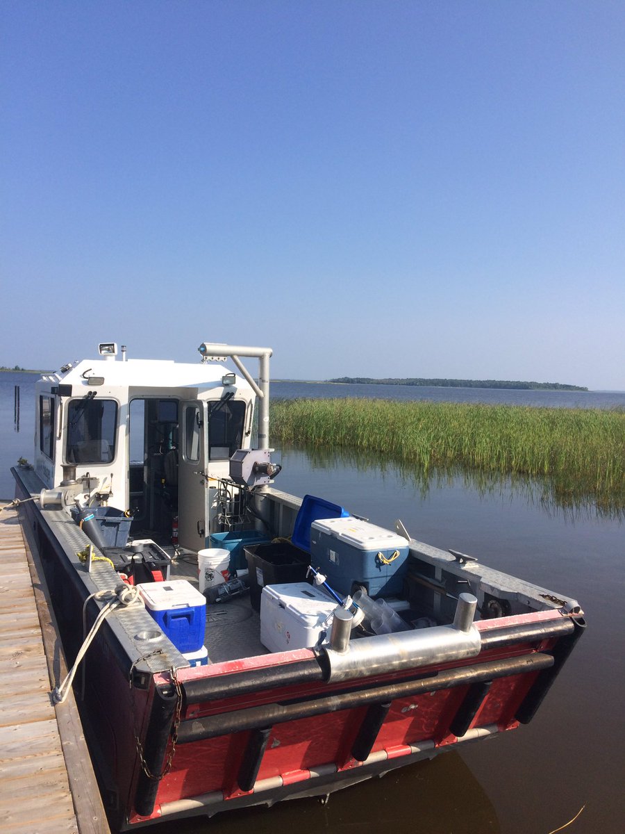 My office for the week.  Checking out #AlgalBloom conditions on #LakeoftheWoods  with @ArthurZastepa and collecting optical properties for #OLCI image validation.