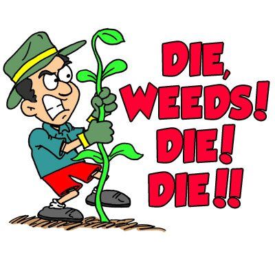 LawnCareLife's tweet photo. Die weeds die. 
.
.
.
.
#Funnyfriday #Lawncarelife #Dieweeds #bestlawncare #landscaper #lawnmowing #watchfulness https://t.co/BIFqtaNCef