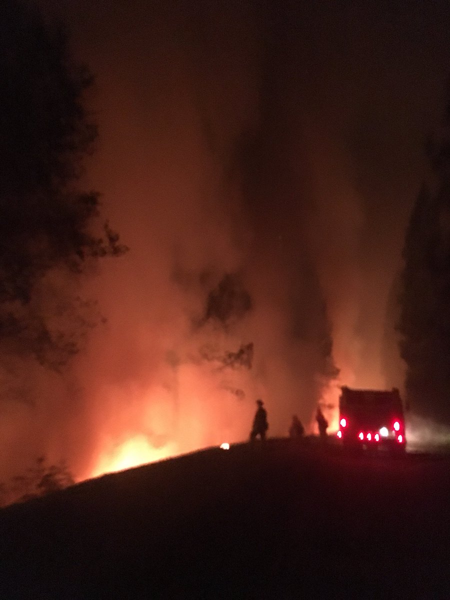 Awesome_paige18's tweet image. My career is crazy. #usforestservice