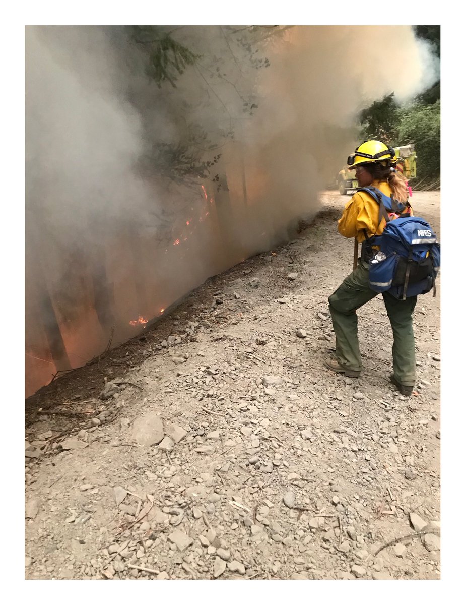 Awesome_paige18's tweet image. My career is crazy. #usforestservice