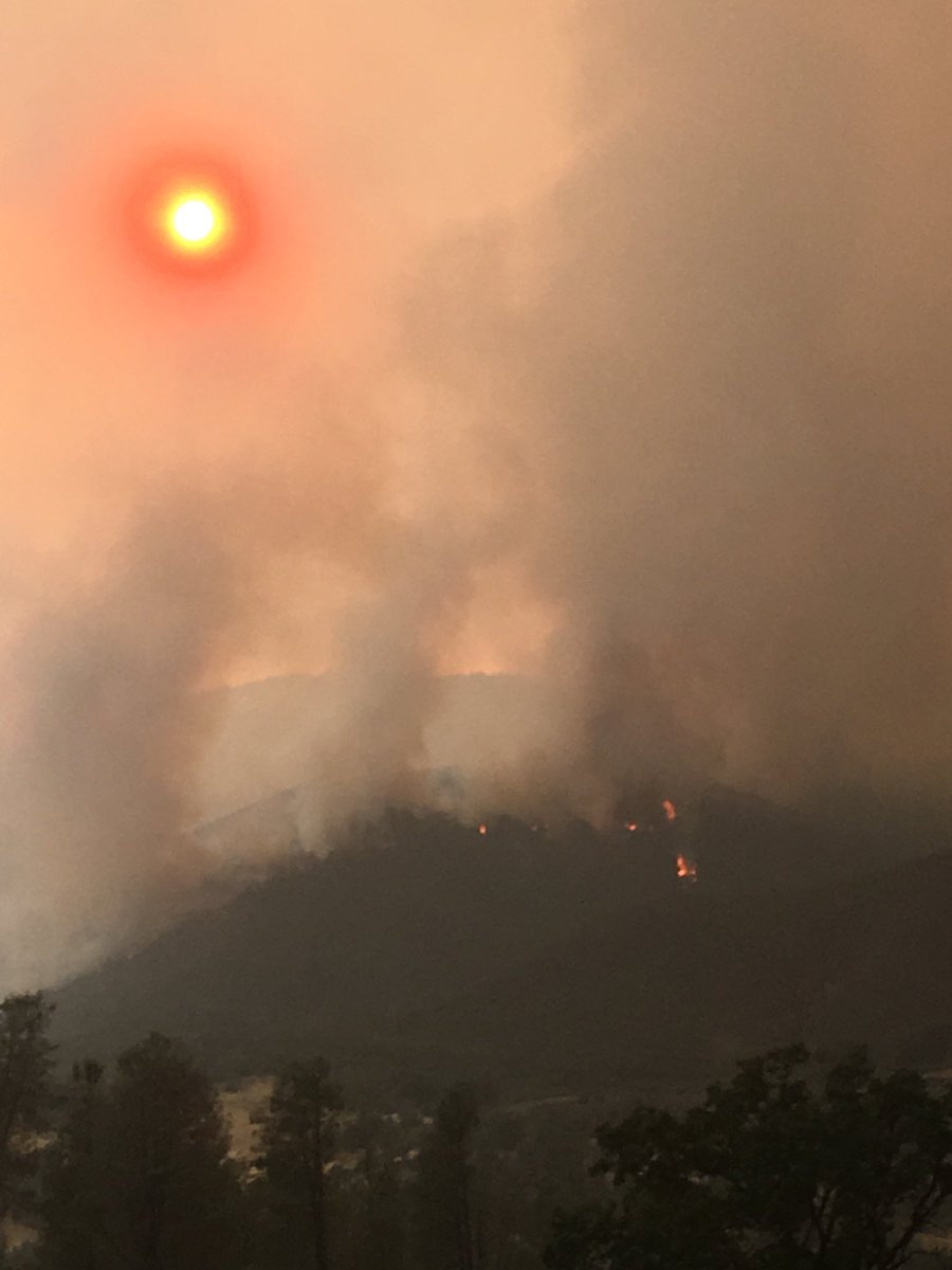 Awesome_paige18's tweet image. My career is crazy. #usforestservice