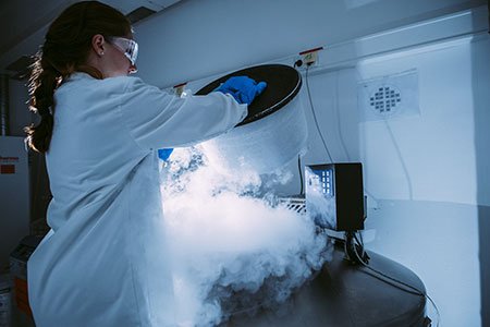 BioEdenUS's tweet image. Did you know that your child’s #stemcells are stored in a secure facility and maintained at -196.5 degrees centigrade? Discover everything you ever wanted to know about #tooth stem cell banking ➡️ hubs.ly/H0cDY2h0