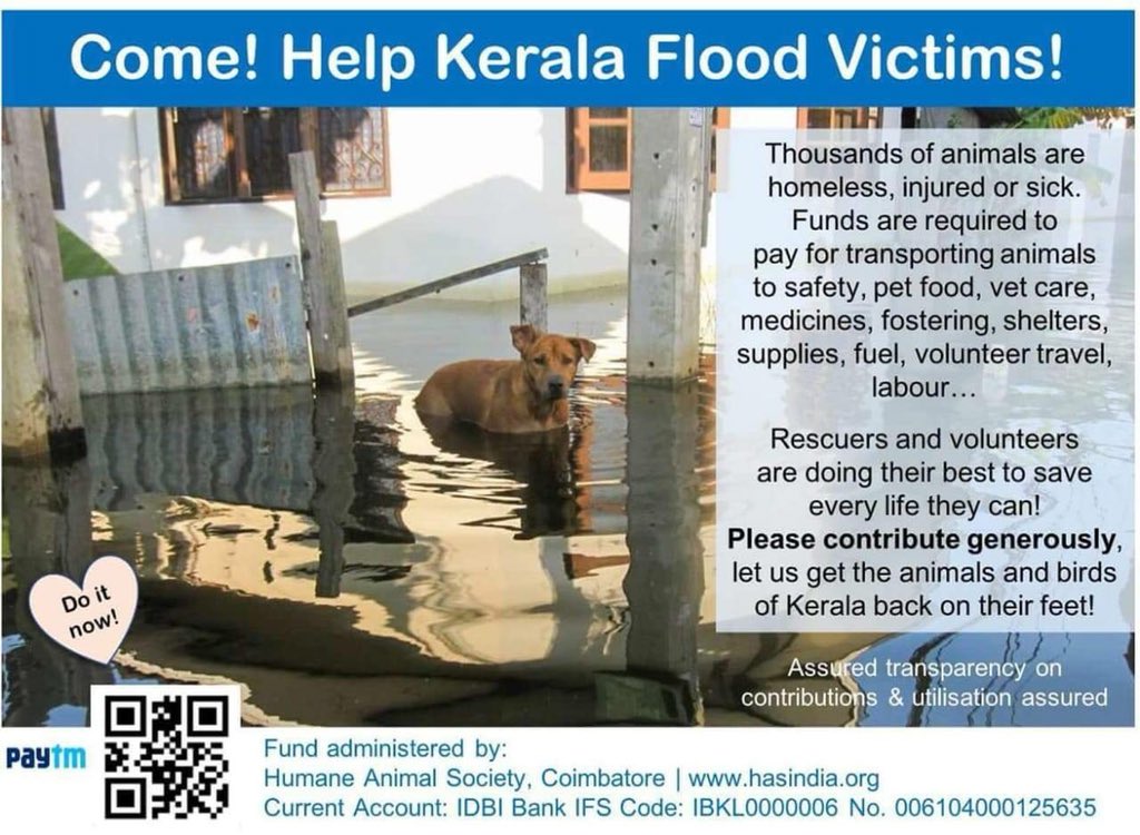 Help the Animals of Kerala. They too need our support. #animallovers #help #needed #supportanimalrescue #kerala #keralafloods #keralafloods2018