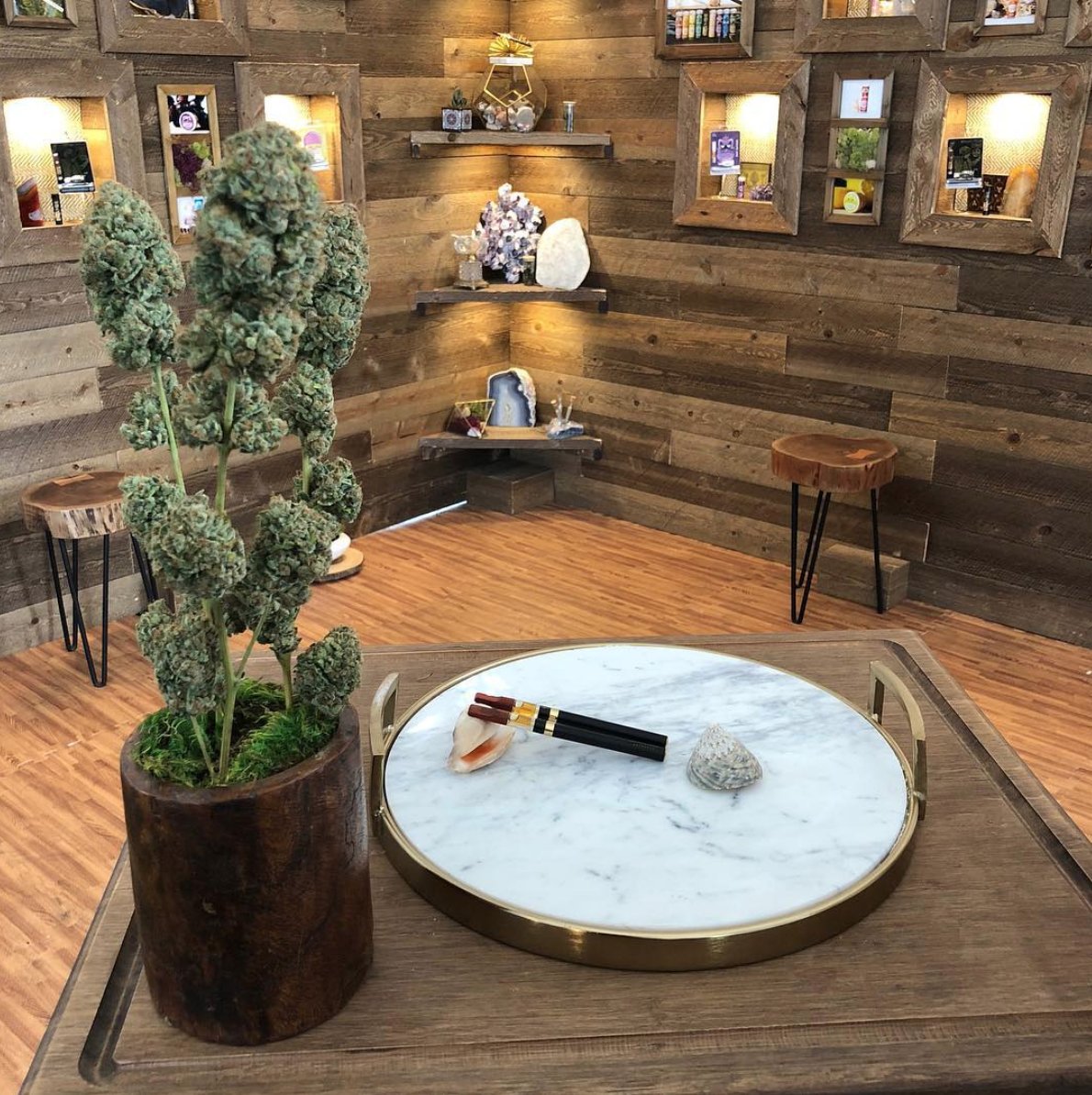 stonyhillnews's tweet photo. #FBF to a great weekend of inspiration, positive vibes and Kaya at @KAYAFEST!!
#KayaFest2018 #OceanGrownExtracts #StonyHill #EducationBeforeRecreation #CannabisHeals https://t.co/6eCdEI5pEc
