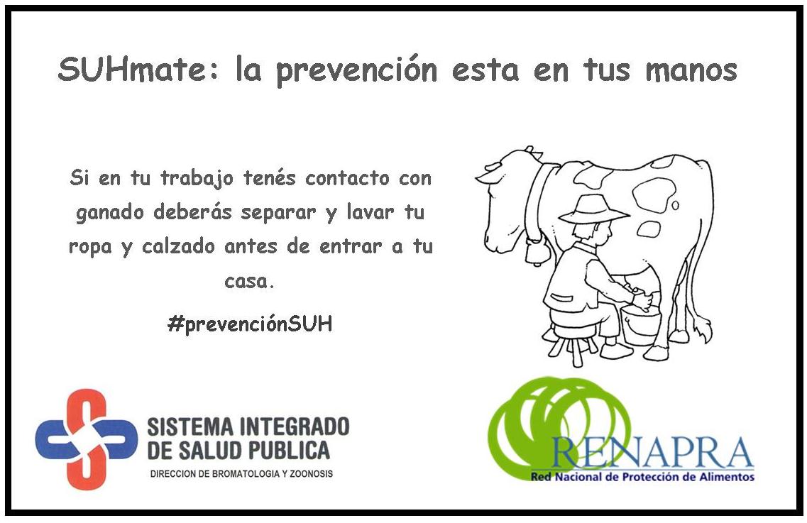 YTandil's tweet photo. https://t.co/0LB2LokIK7