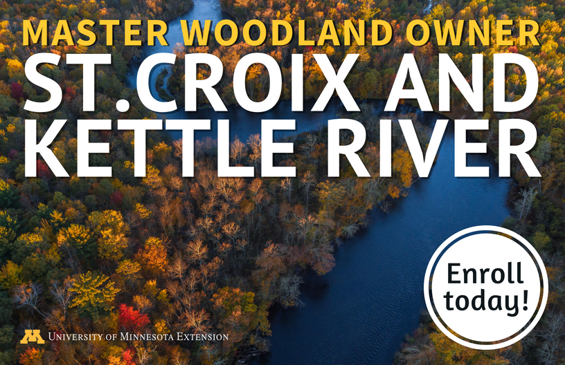 free Miami Moon: Vampires