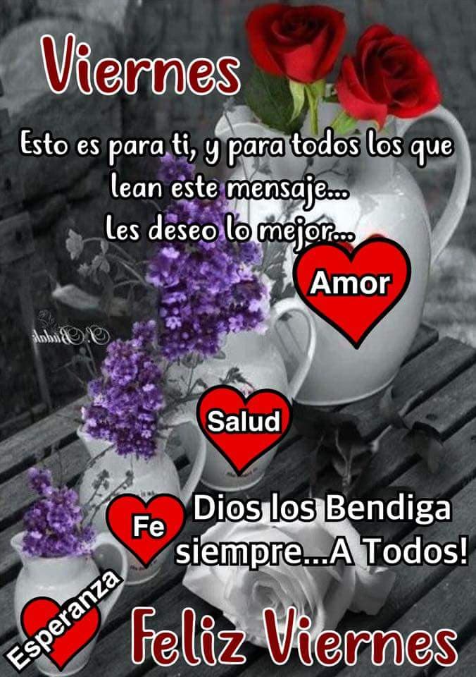 rosalesroch's tweet photo. @mhonividente https://t.co/i1zwyNDZmn