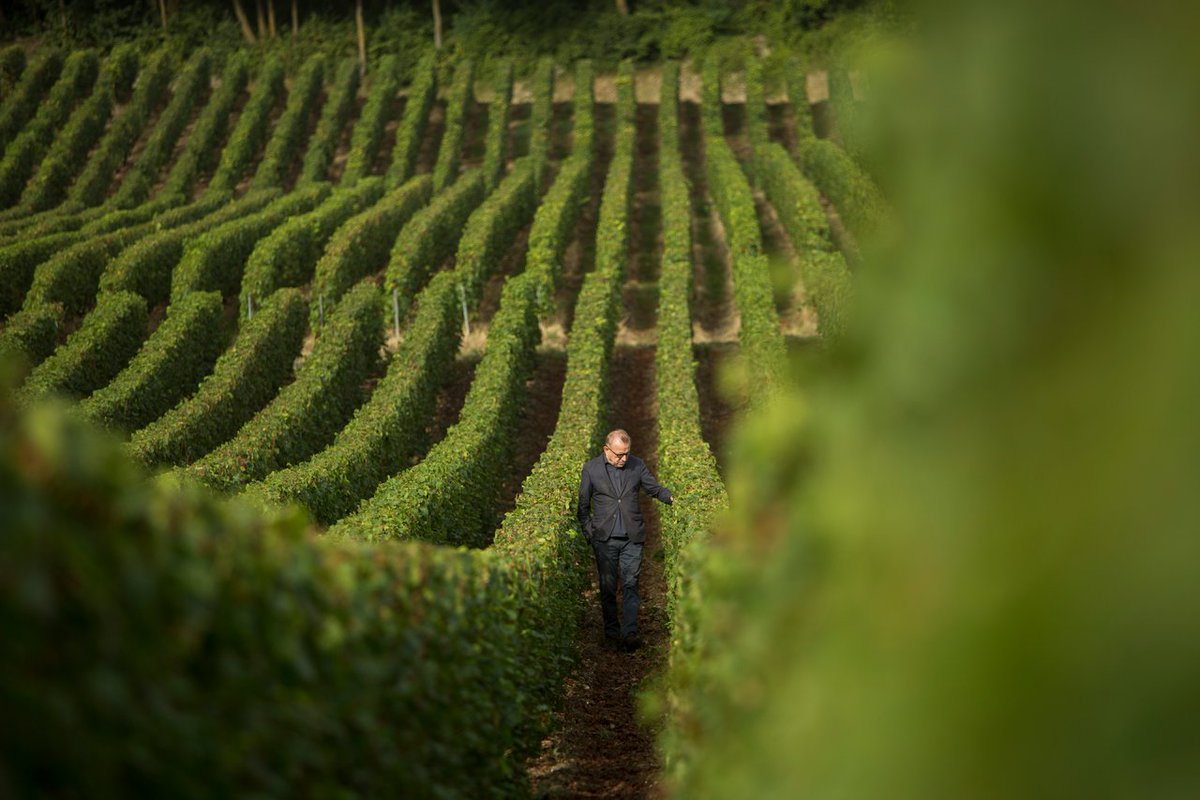 EvergreenSource's tweet photo. It's always difficult to undergo a transition in your organization! This is an interesting overview of how the Dom Pérignon brand will be adapting based on a new incoming 'Chef de Cave'. Read more: https://t.co/C0fOvWleGd via @FortuneMagazine #transition #brandchat #adapting https://t.co/NOv7bPS5ML