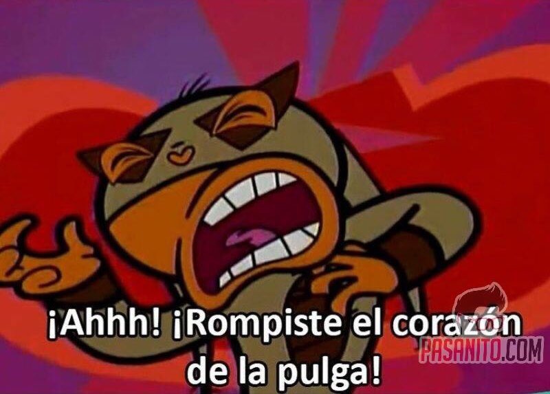 Luis15Nava's tweet photo. ¿Como que no probé la #ModeloCafe? https://t.co/DhUl7zGkoh