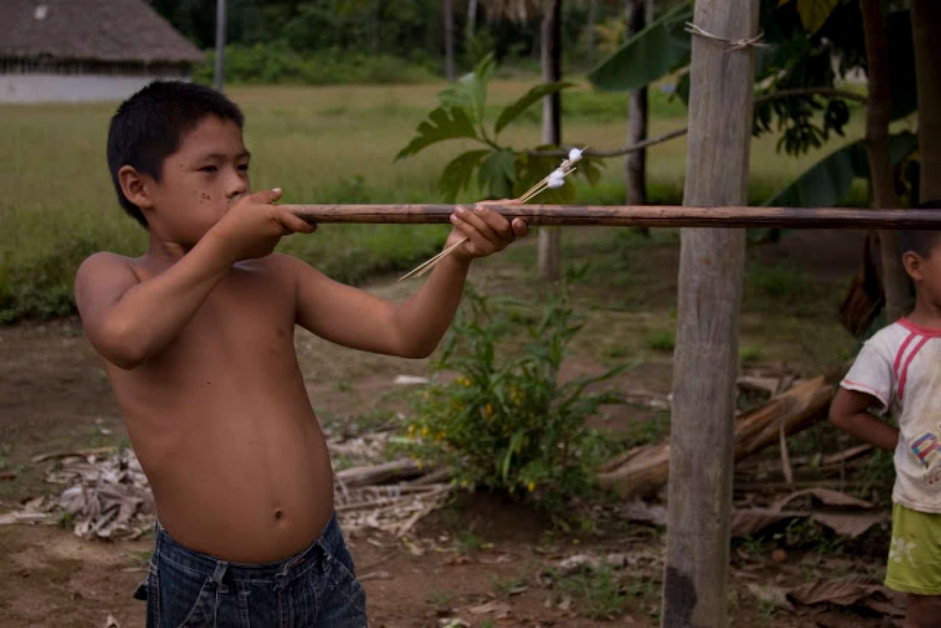 La Hora Ecuador on X: "El niño que salvó a los pájaros en la Amazonía. Esta  historia se la contamos en nuestra sección #Intercultural. >>  https://t.co/DVFuhG6pGZ. https://t.co/W4qI8HYmId" / X