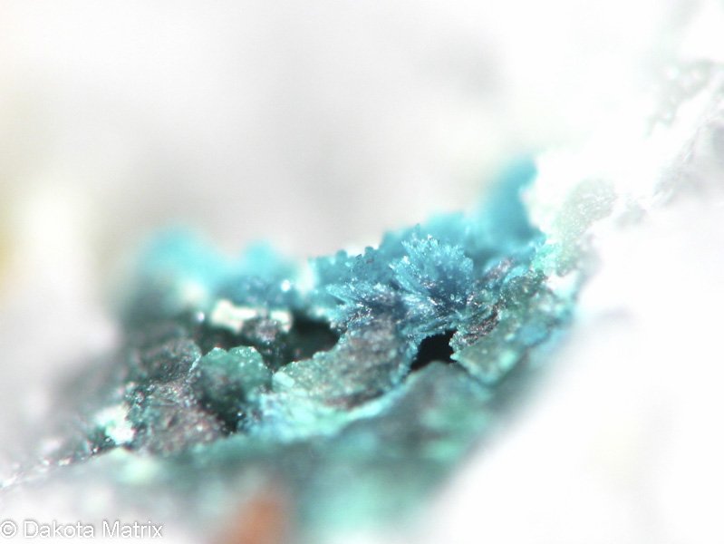 DakotaMatrix's tweet photo. Gilmarite from Nevada on tonight's update on Dakota Matrix Minerals https://t.co/kfblwxjdQd https://t.co/IdvoGvnseo