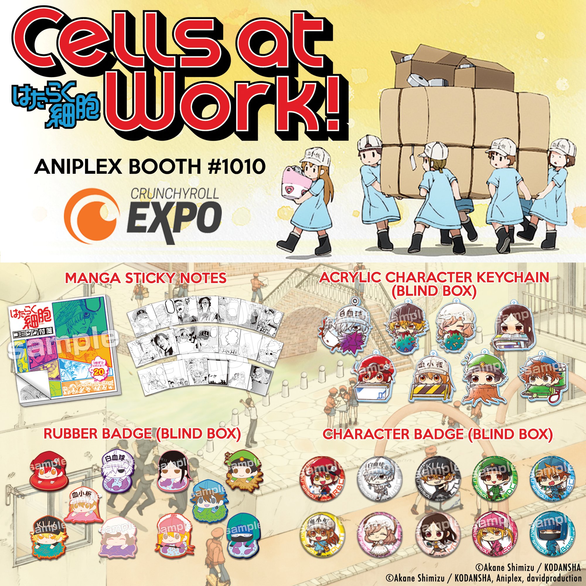 Aniplex of America on X: Cells at Work! is a whole lot of fun and it  makes you appreciate all that your cells do for you. As the Red Blood Cell  in