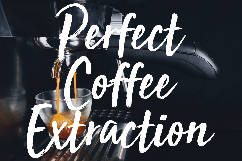 bean_stuff's tweet photo. Find out how much of the coffee bean should make it into your cup. Check our latest podcast episode "Perfect Coffee Extraction" where ever you get podcasts or at https://t.co/XNGwB6vlH3 #coffeeextraction #extraction #extractionrate #rateofextraction #coffeetalk #coffee https://t.co/NNH1K2vLL5