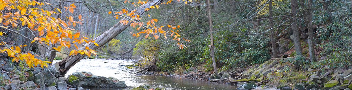 pafishandboat's tweet photo. PA FISH AND BOAT COMMISSION LAUNCHES SEARCH FOR EXECUTIVE DIRECTOR. Learn more here: https://t.co/ppvFiuK0gs https://t.co/vFurbRcXPS