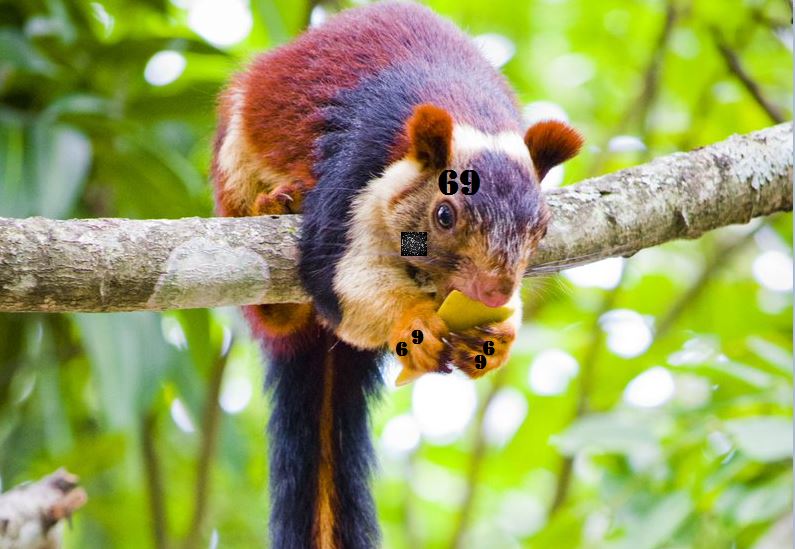 spot_williams's tweet photo. @VibeMagazine Squirrel.......... https://t.co/Lak7TpsfqY