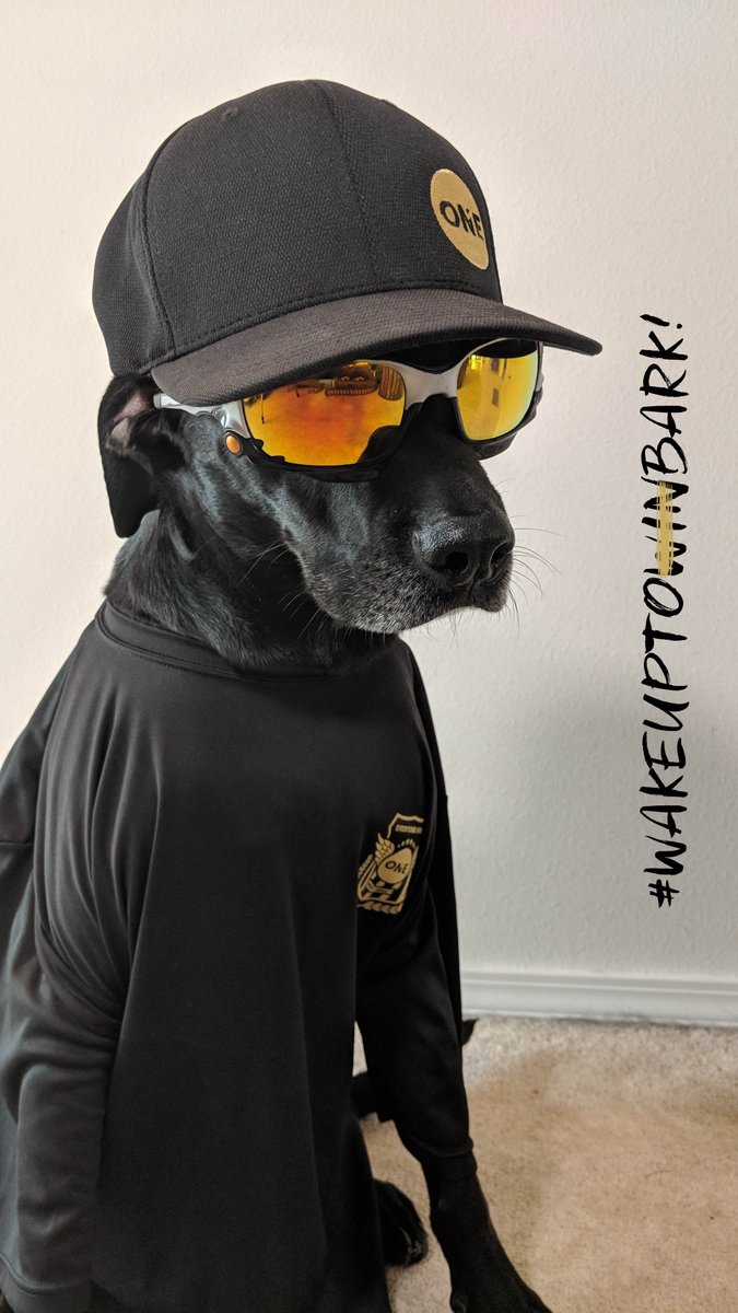 ROGeclipse's tweet image. Our #ONEdog is rocking the @RealtyONEnews swag!