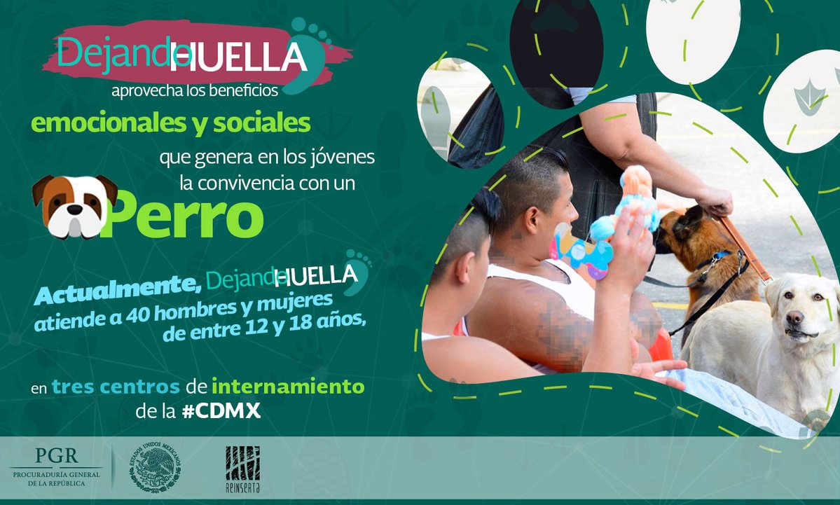 #DejandoHuella aprovecha los beneficios emocionales y sociales del entrenamiento canino, para reducir conductas de riesgo, fortalecer la solución de problemas y capacitarlos para el empleo. #Comparte