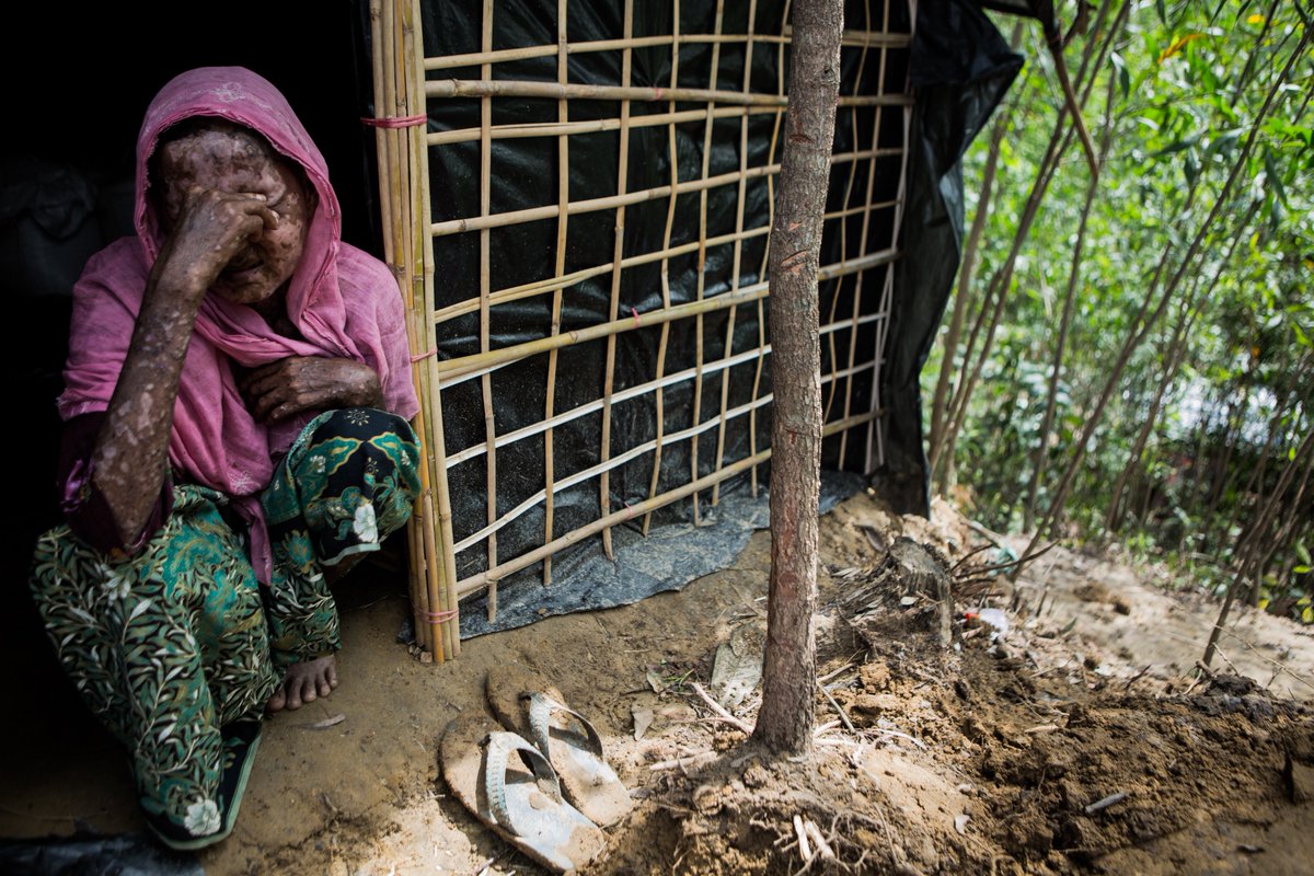 amnestyusa's tweet photo. One year ago, the world began to learn about the ethnic cleansing in Myanmar’s northern Rakhine State. 

Our report names 13 officials who should be investigated for playing a key role in massacres, rape, torture &amp; mass deportation. 

These are the faces of the #RohingyaCrisis. https://t.co/vwoJrDajS7
