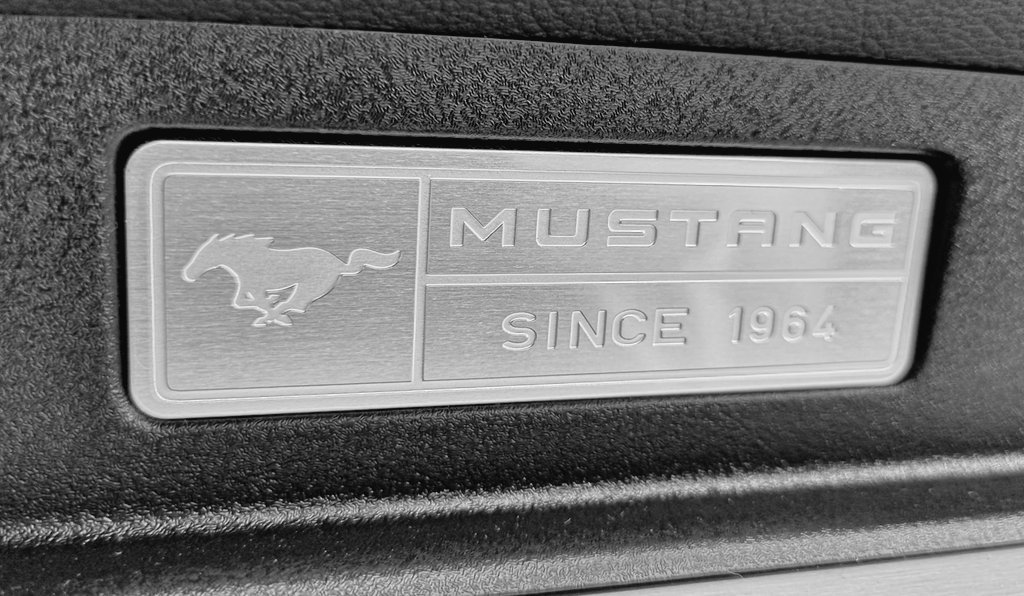 Je sais que notre #Smax est fatigué, mais est-ce bien raisonnable @FordFrance ? 😁 cc @MustangStory #Bullit #MustangLover