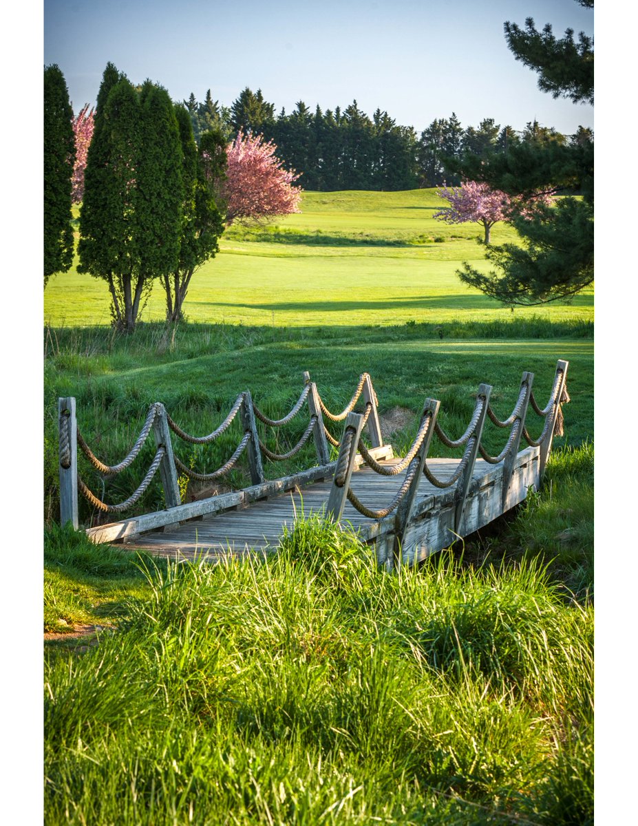 FRGC_MD's tweet photo. Special Golf Rates Next Week!! August 27th - 29th

Play from 4pm - Dark for ONLY $15! (Valid for walking or riding - includes cart)

Book your tee time now - https://t.co/TbXT0eewwa https://t.co/oc3BOqvFae