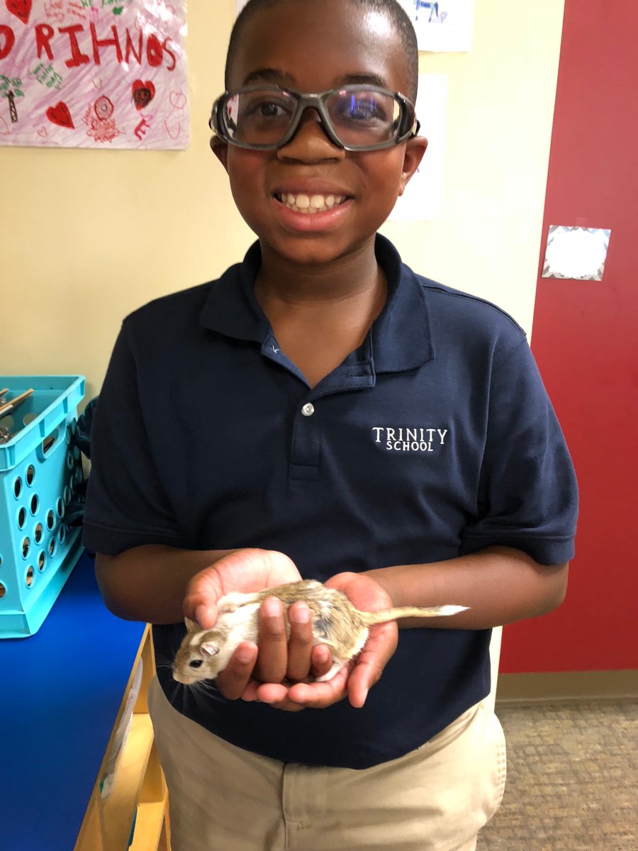 We've got some new responsibilities! #trinitylearns