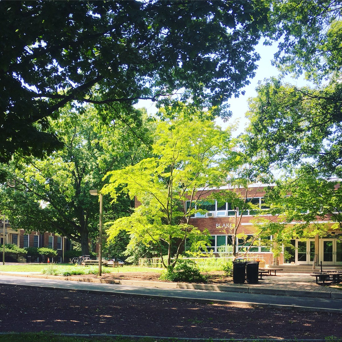 AC_AndyCampbell's tweet photo. Calm before the Fall Semester #rutgers #cookcampus https://t.co/FSDas4vINc