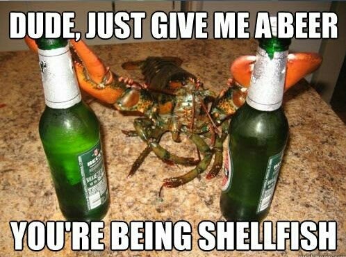 BeerOnWheels1's tweet photo. #badpuns #dadjokes

905-704-1600
https://t.co/Adt3GL4jkz

#beer #delivery #niagara #niagarafalls #welland #stcatharines #wine #liquor #thebeerstore #lcbo https://t.co/S3B4ip5Jcj