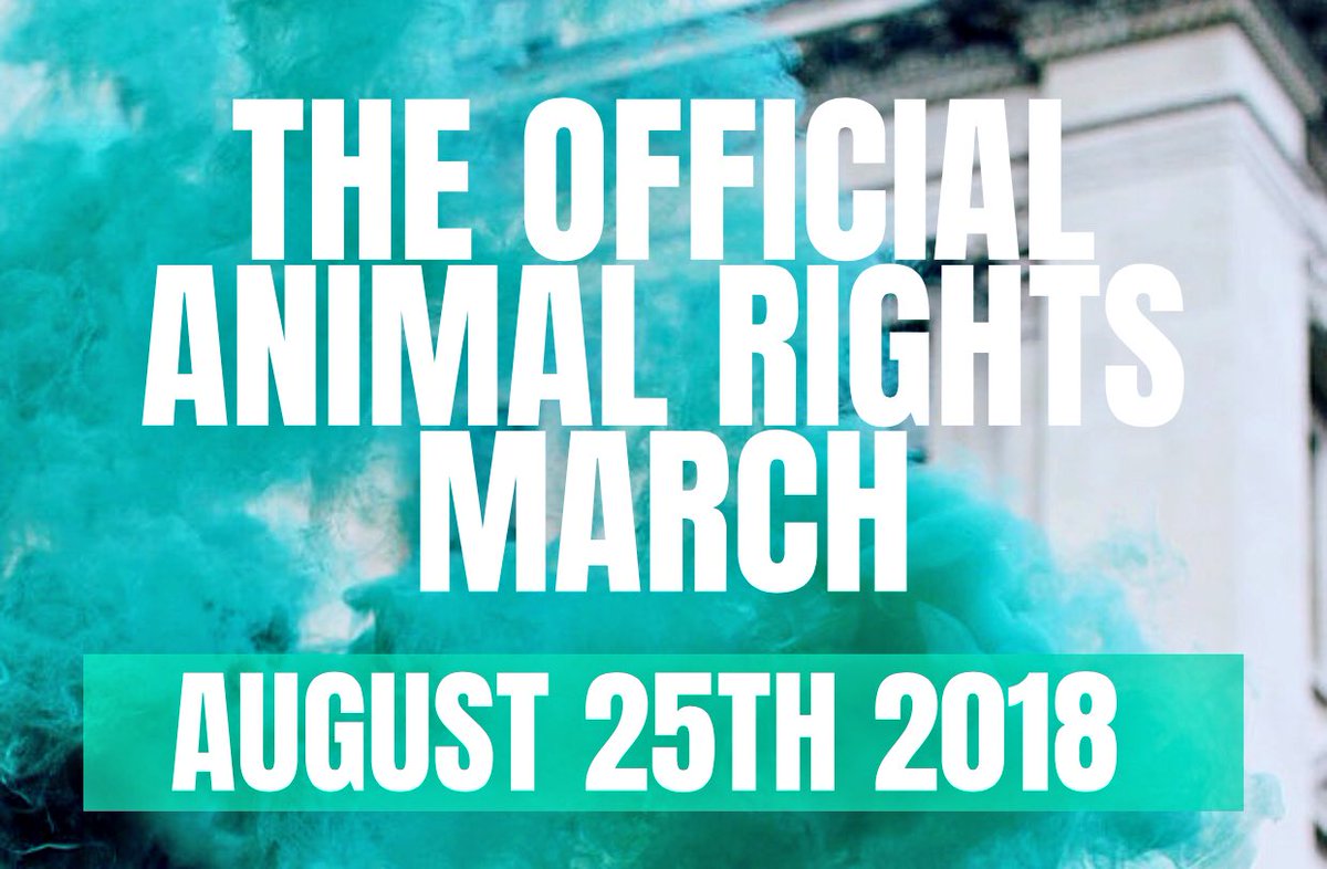 buy Software Agreements Line by