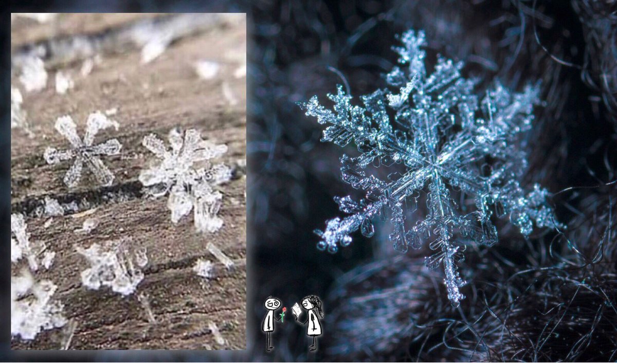 bob_jabado's tweet photo. 🤔If God put this much detail 
In a #snowflake, what makes 
You think your life is any 
Less important? https://t.co/FeHlYEaNHU