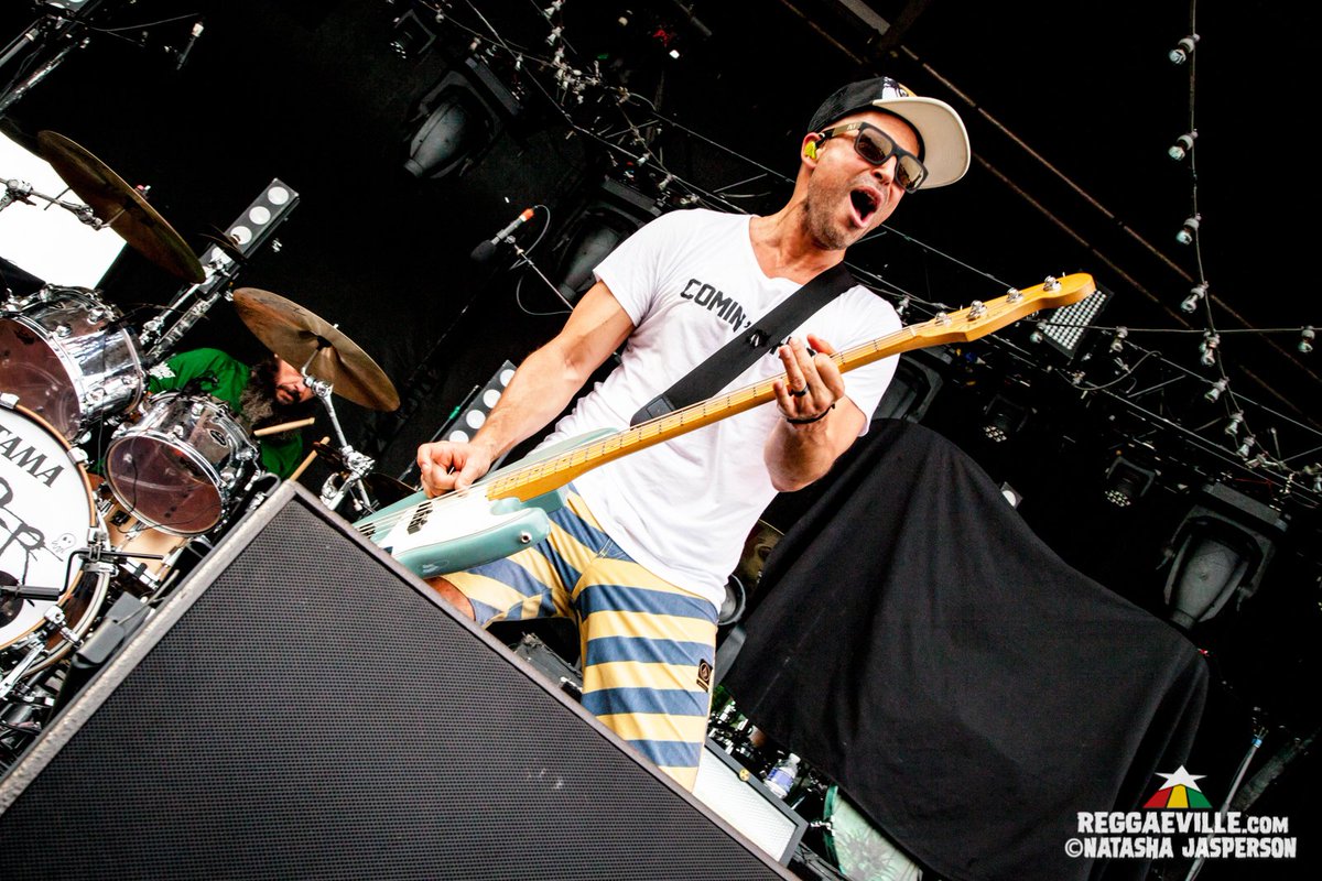 NatashaJaspersn's tweet photo. I think I'll come visit @Twitter again for a bit. Thinking some @pepperlive images should spruce up the page ;-) https://t.co/q2mJGVDkuF