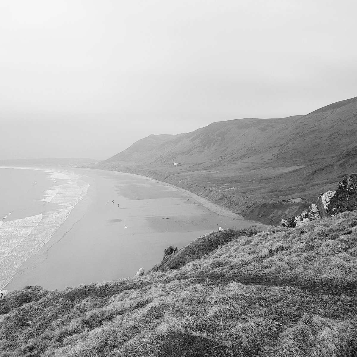 Candice Ryan tweet media