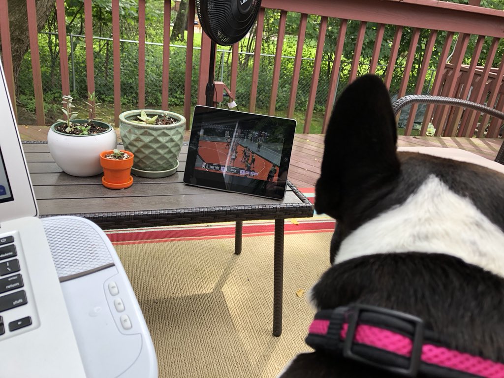 missprint95's tweet image. #WFH Friday on the deck with laptop, iPad, succulents and French bulldog. #talk2wftda #dogsofwftda