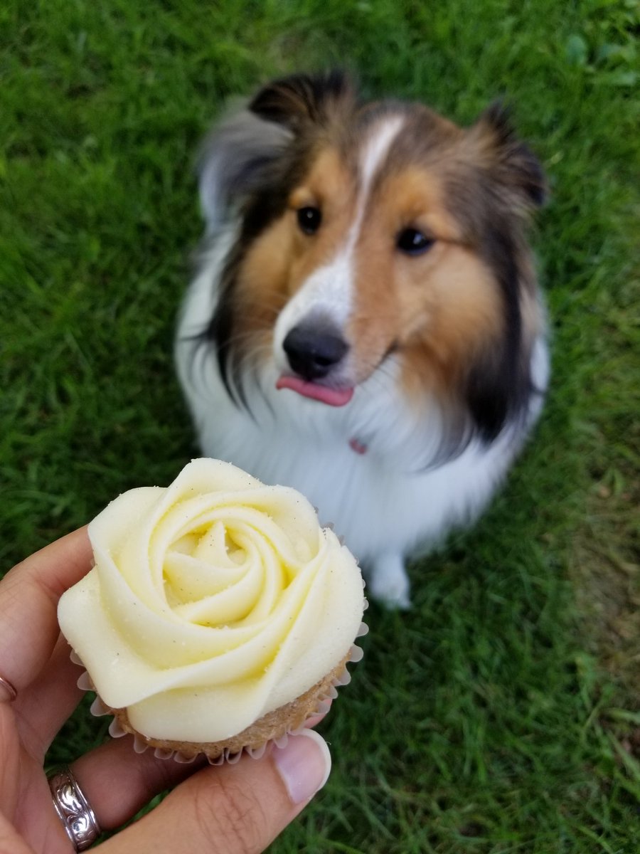 frosted chaos (frosted_chaos) Twitter