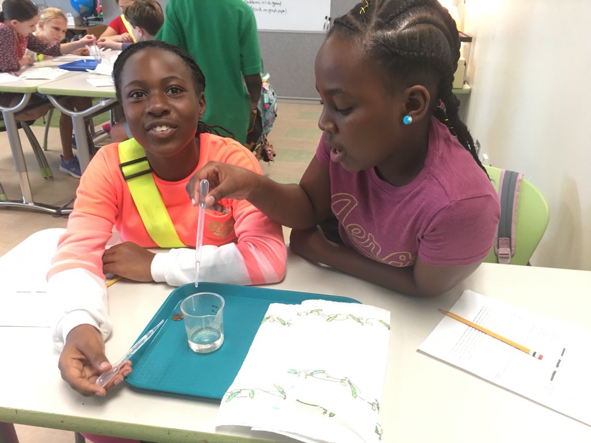 MrsQuadagnoTCS's tweet image. Sharing, analyzing, and discussing our penny lab. Ss noticed the highest and lowest values and calculated the class average. Great conversation going on about how we need to all do it the same way and try try try again for more accurate data! #5thLearning #TCSscience