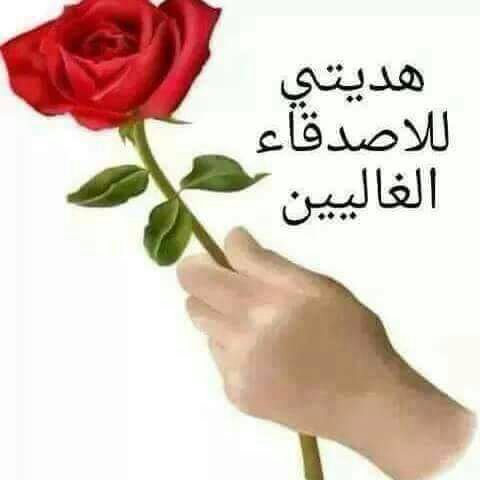 ahmedkarch (@ahmedkarch2) on Twitter photo 