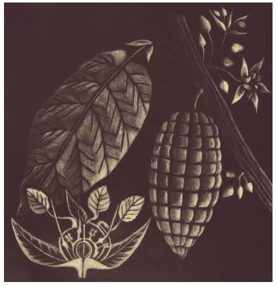 artesdemexico's tweet image. ¡#ArtesdeMexico te invita a @SalonChocolate y a @AgaveFest este 30/31ago y 1/sep en el #WTCcdmx! en la compra de cualquier publicación en nuestra tienda La Canasta, llévate un boleto para cualquiera de estos eventos. 
¡No te los pierdas!
*Valido hasta 30/ago o agotar existencias.