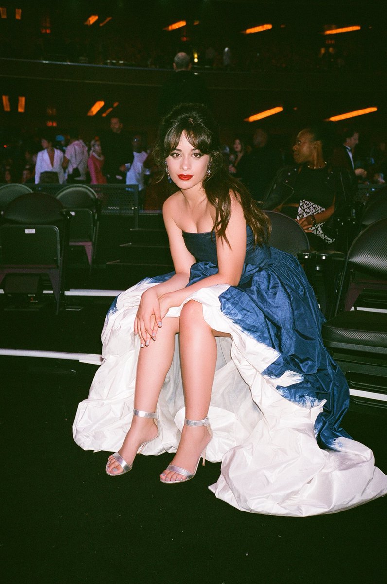 camila tweet media