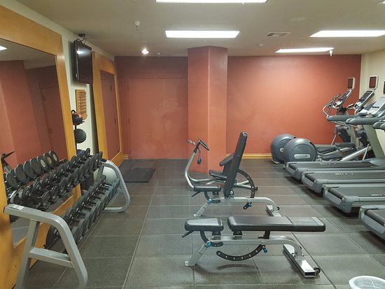 DoubletreeTampa's tweet photo. We value our customers and their needs thus we provide 24hr Shuttle service to and from Tampa International Airport and all restaurants, malls and attractions within 2 miles radius of our hotel. Our fitness center is open 24hr for your convenience. https://t.co/DGdyMceQ16